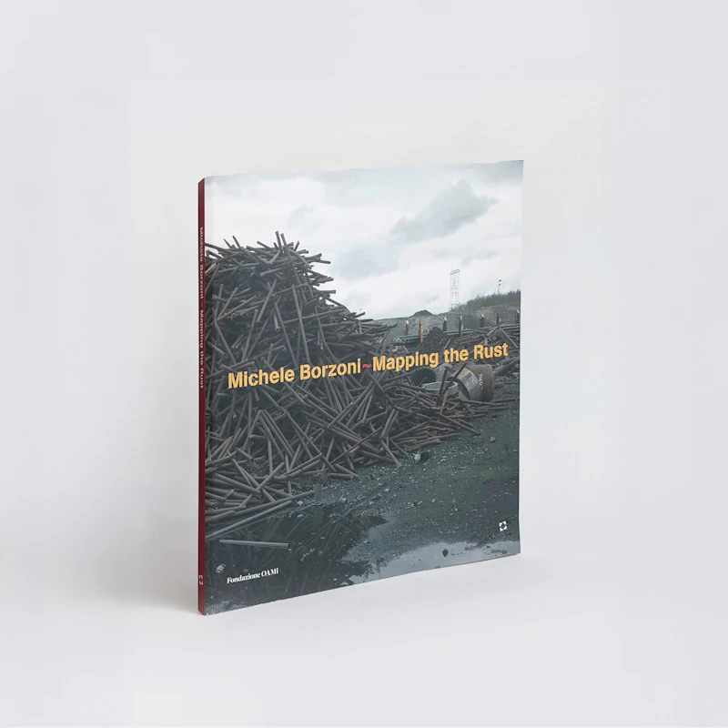 MAPPING THE RUST - Michele Borzoni