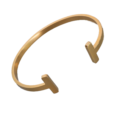 Tasnia Bangle