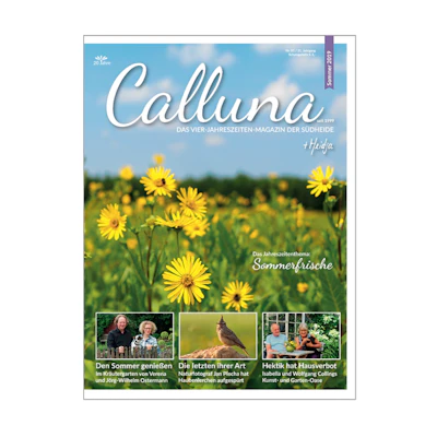 Calluna Sommer 2019