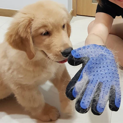 Pet grooming glove