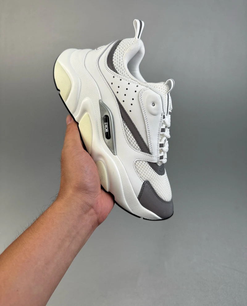 B22 DIOR