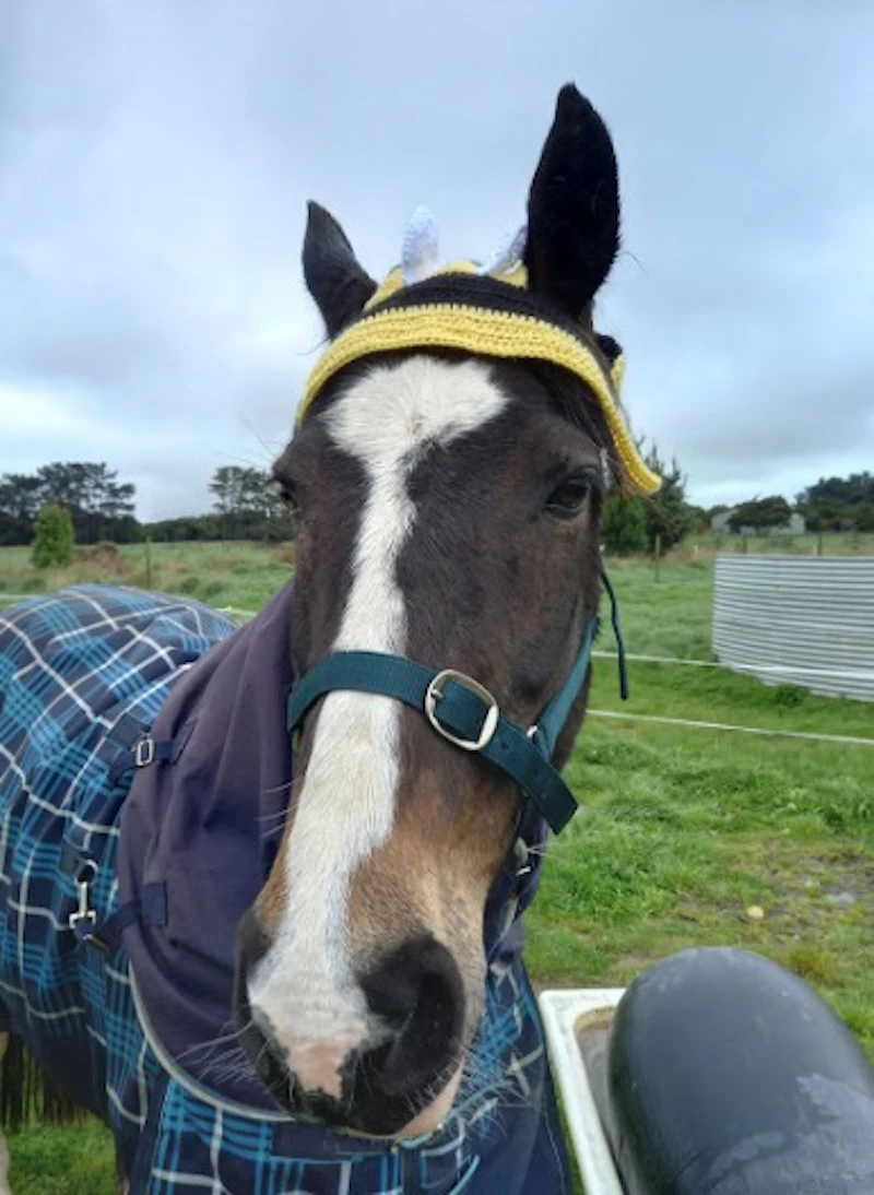 Crochet Horse Hats