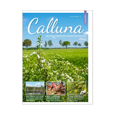 Calluna Frühling 2024 E-Paper