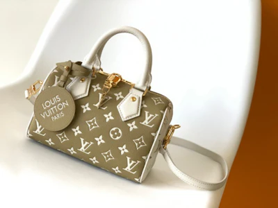 Louis Vuitton Brown bag