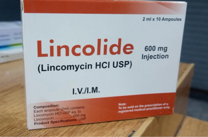 Lincolide 600mg  injection (Lincomycin)