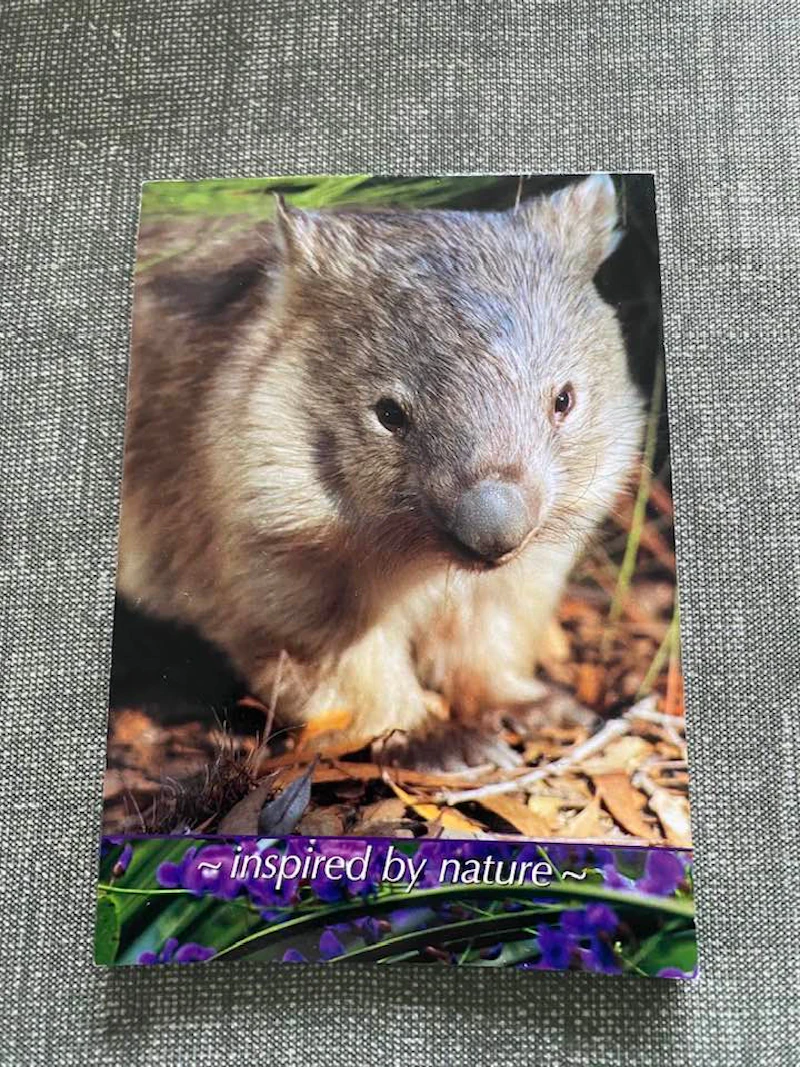 Notepad - Wombat - inspired by nature
