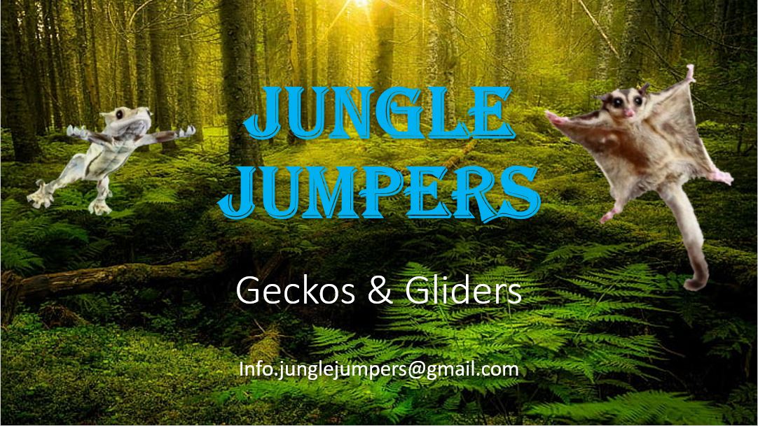 Jungle Jumpers