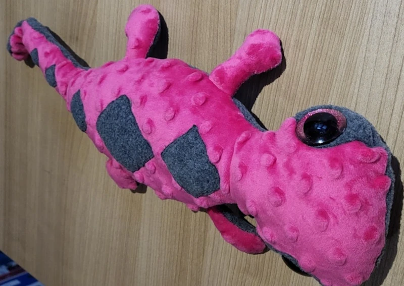 Salamander, verschiedene Größen/ Preise