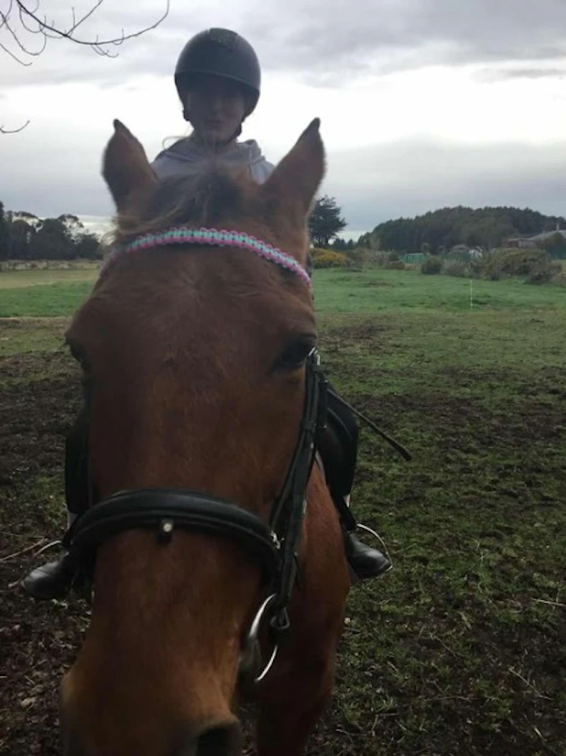 Pre-Made Reversible Browbands