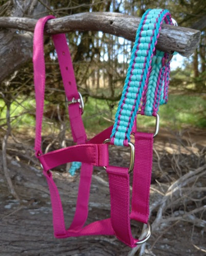 Half Halters