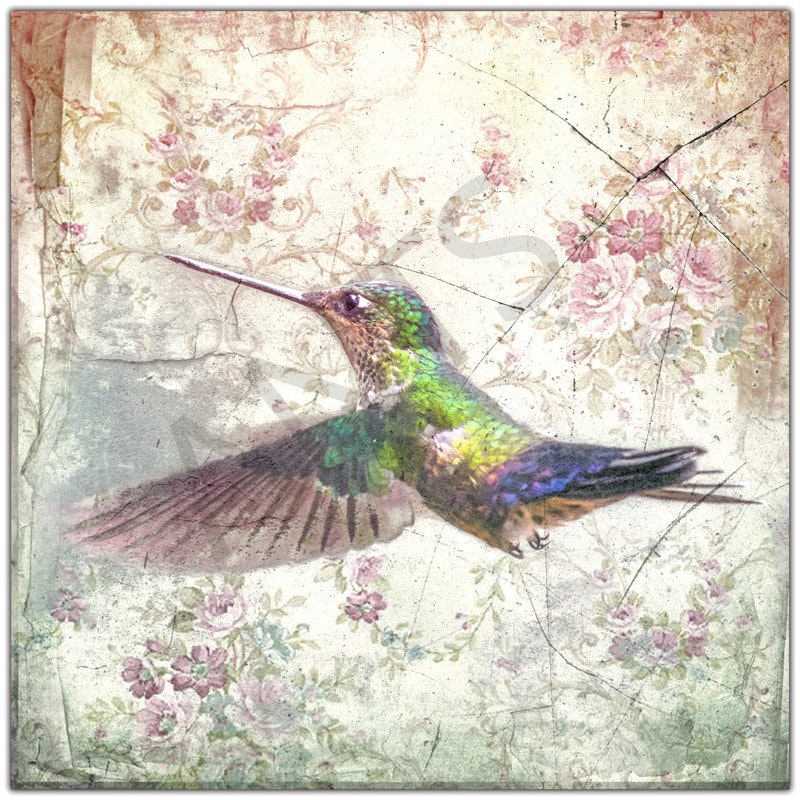 Kolibri Nostalgisch, Wandbild Vogel im Landhausstil, Shabby Chic 