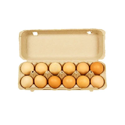 12  Pcs Chicken Egg (Layer) 