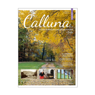 Calluna Herbst 2019