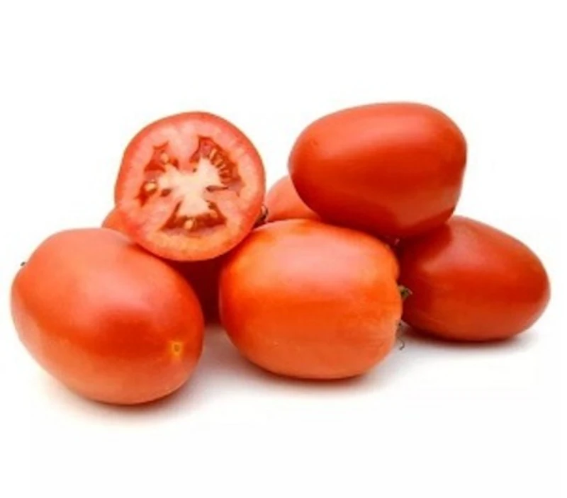 Tomate 