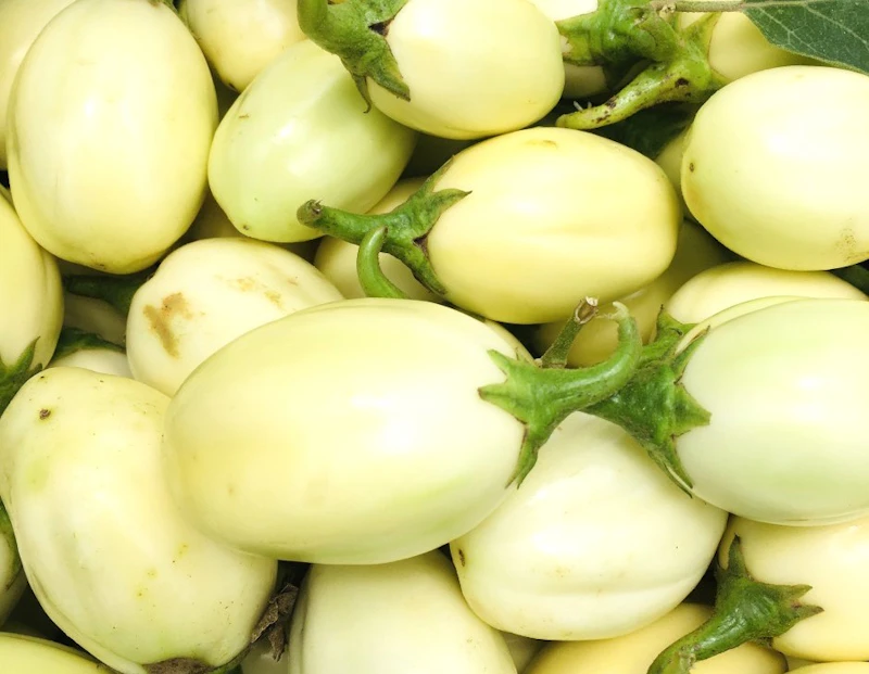 Aubergines 