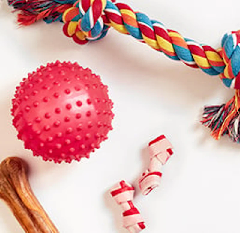Jouets pour animaux