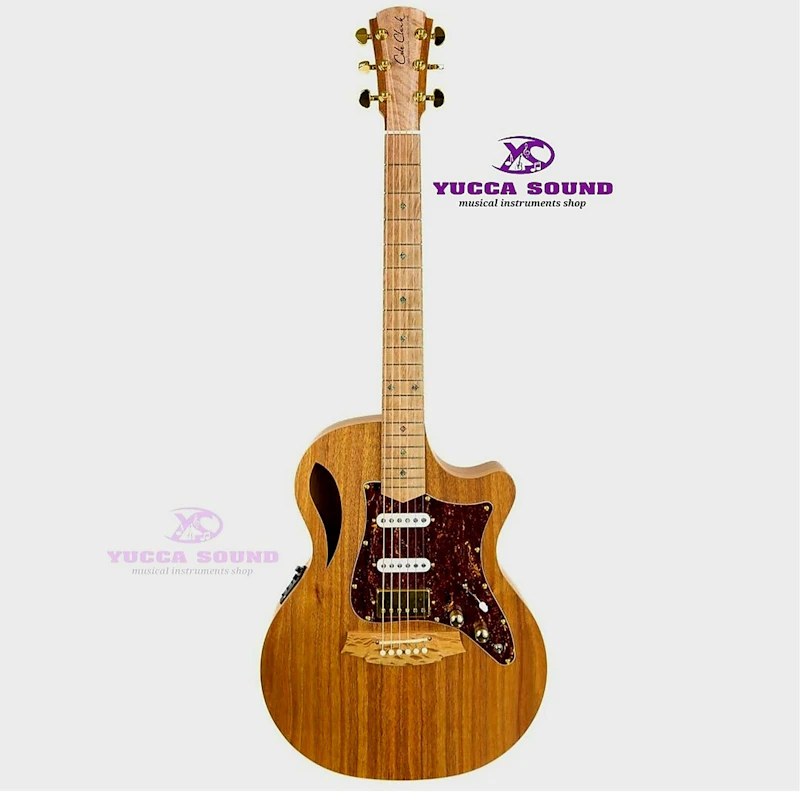Cole Clark TL2EC-BLBL-HSS, All Blackwood True Hybrid Thinline Acoustic Guitar