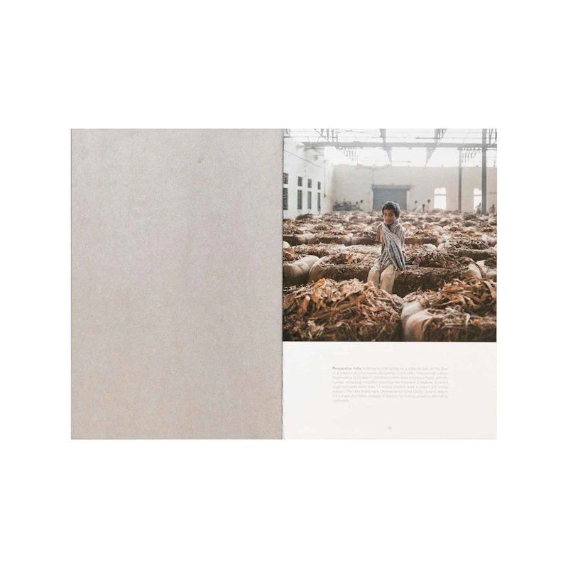 BITTER LEAVES - Rocco Rorandelli