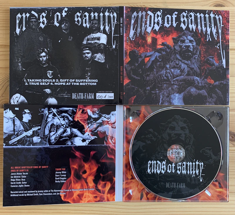 ENDS OF SANITY - "ENDS OF SANITY" CD-EP