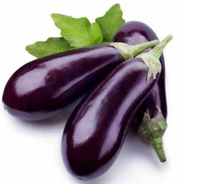 Aubergine