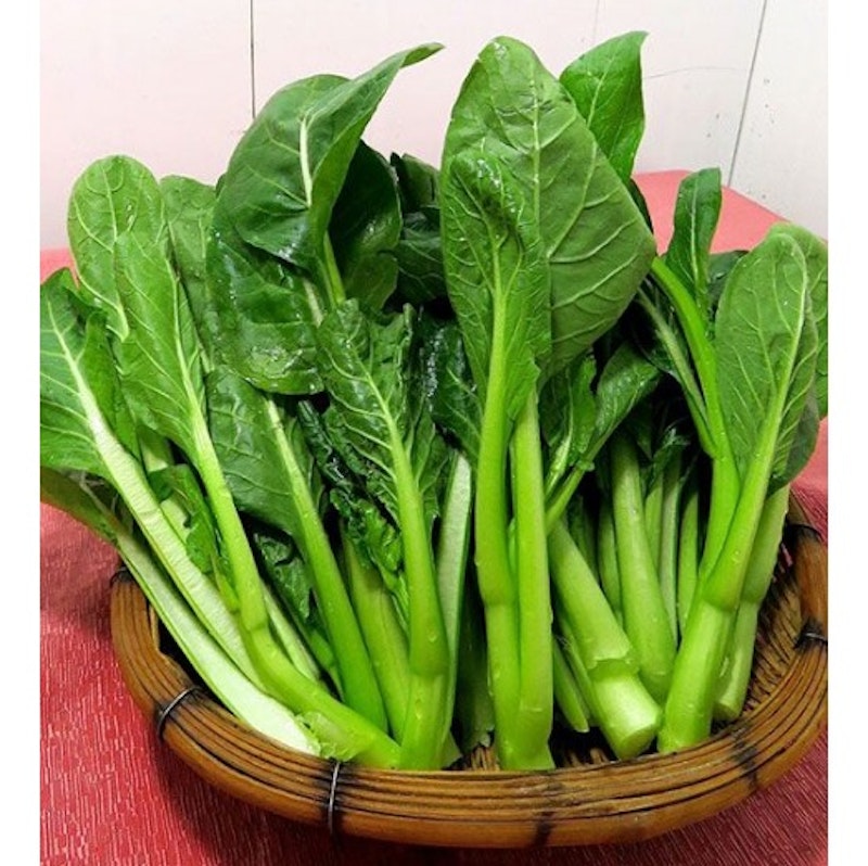 Flowering Cabbage (菜芯新益安心販)