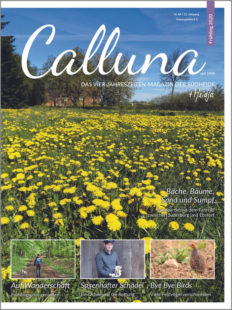Calluna Frühling 2020