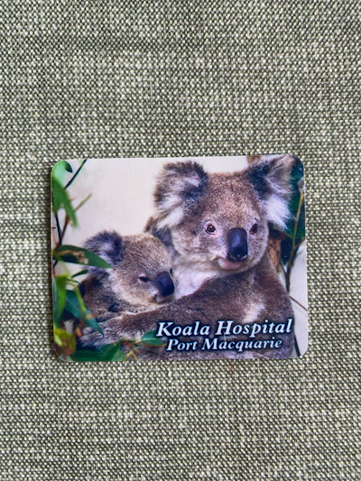 Kühlschrankmagnet Koala Hospital Port Macquarie