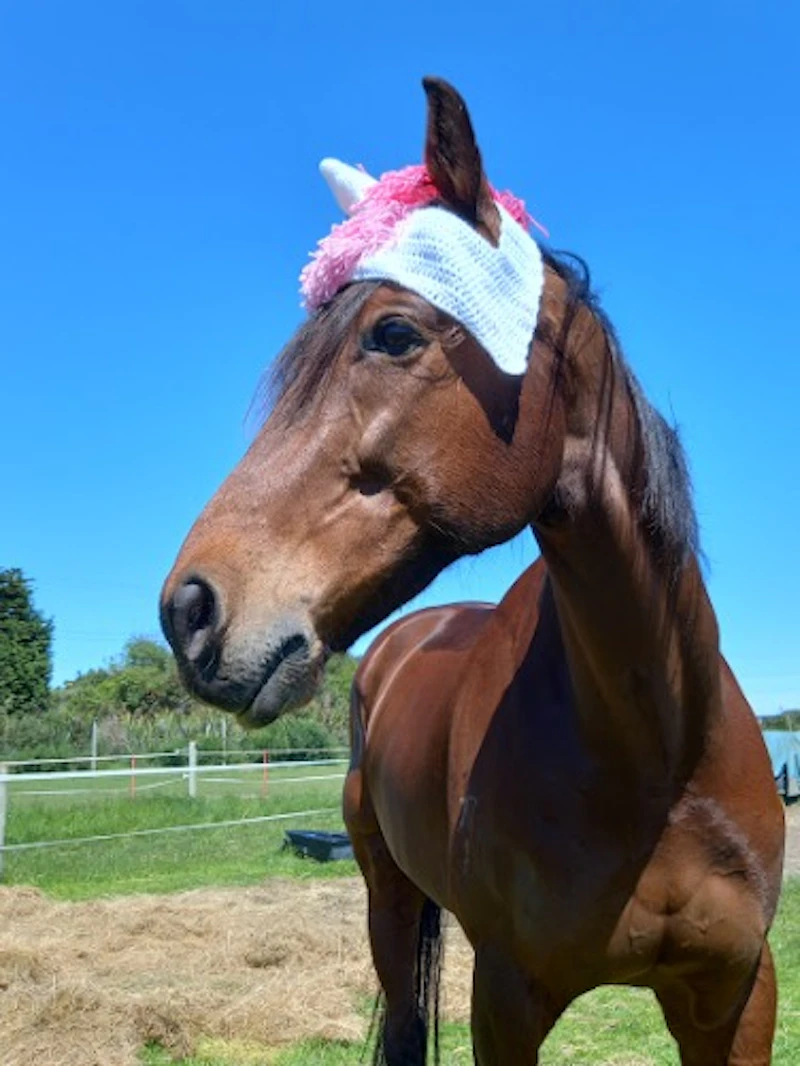 Crochet Horse Hats