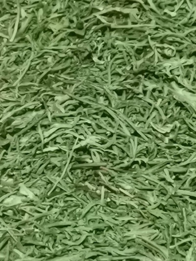 Artemisia annua zum Räuchern, 50-90g