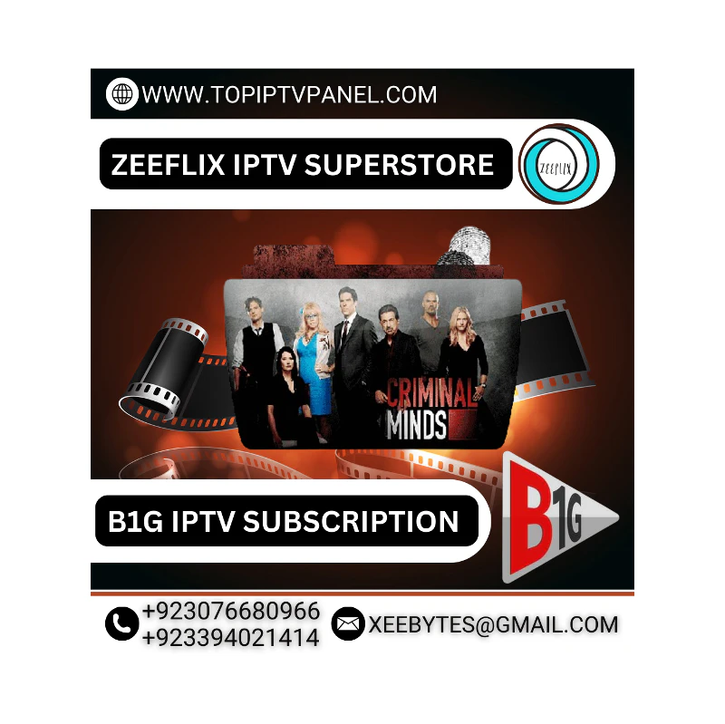 B1G IPTV SUBSCRIPTION 