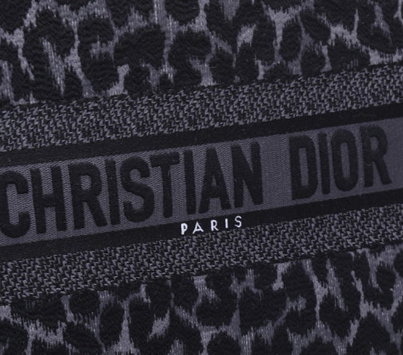Christian Dior Large Book Tote 