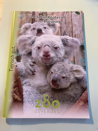 20 Jahre Koalas im Zoo Duisburg