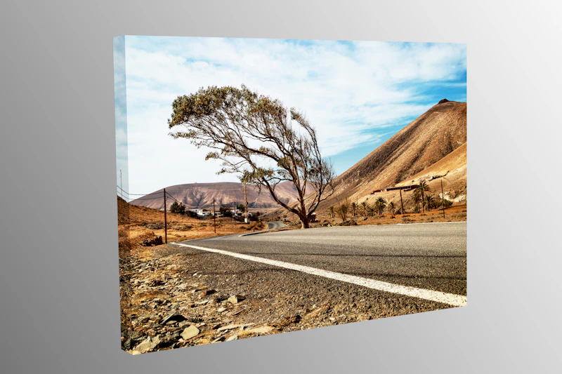 Der Baum im Wind in Ajuy