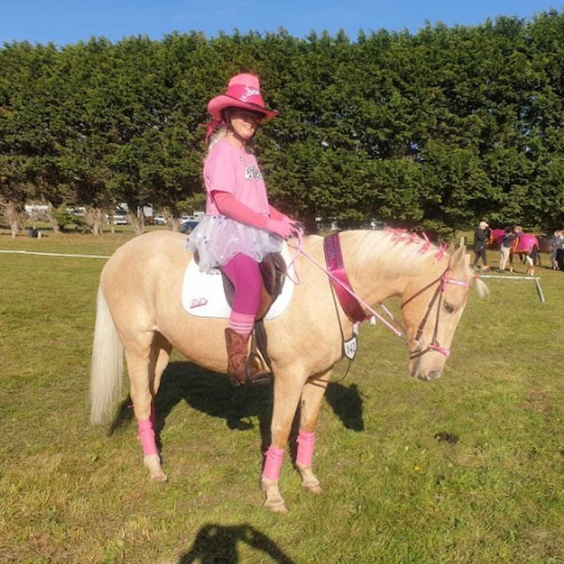 Reins