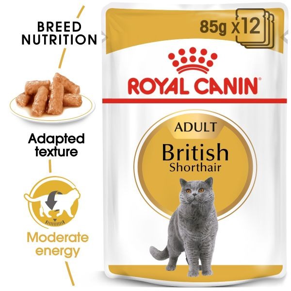 royal canin bsh adult