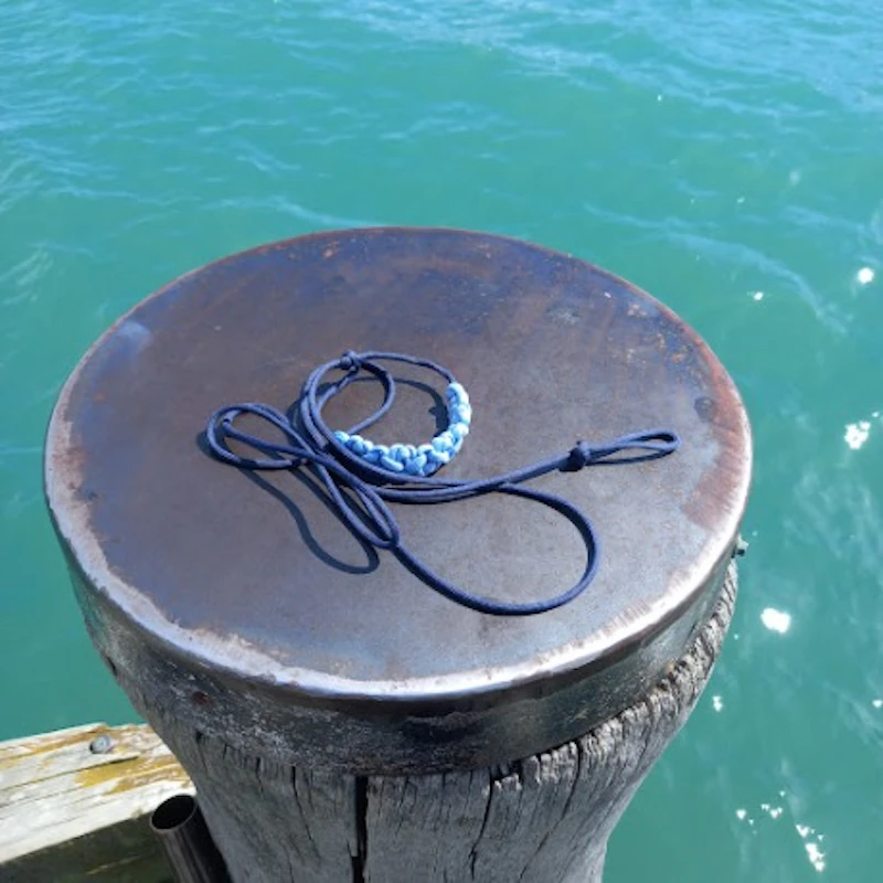Dog Leads