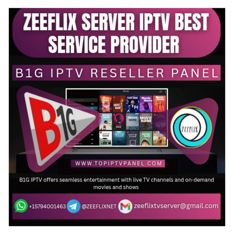 B1G IPTV SUBSCRIPTION 