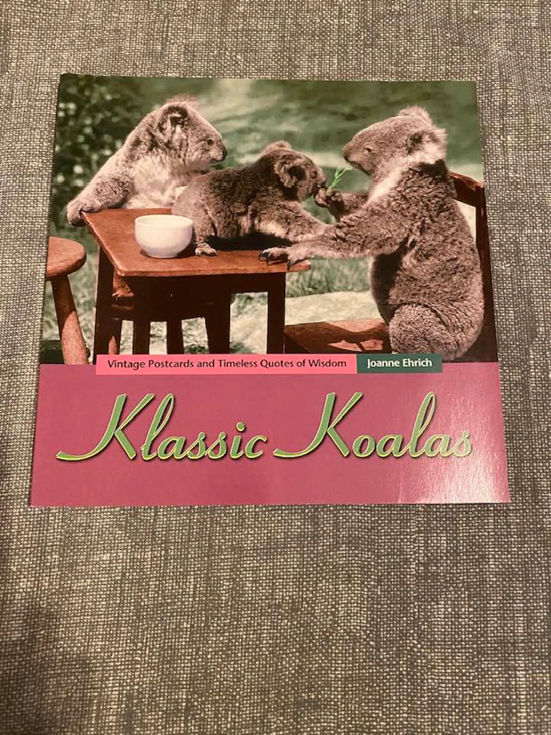 Joanne Ehrich Klassic Koalas