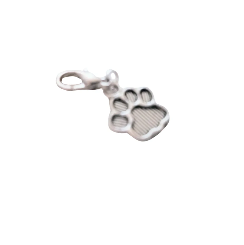 Charms silberfarben ab 1,- Euro