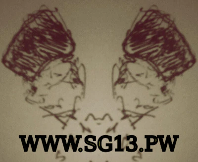 WWW.SG13.PW