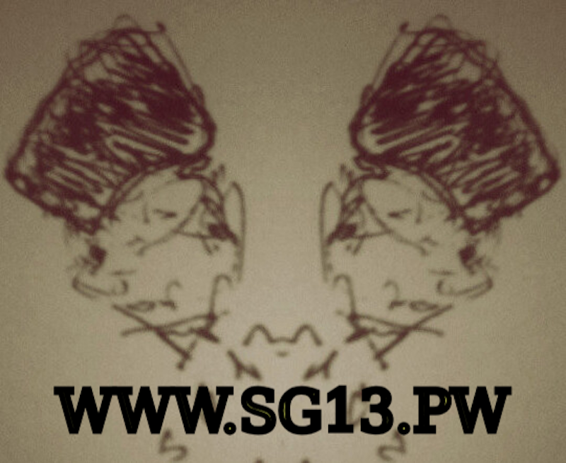 WWW.SG13.PW