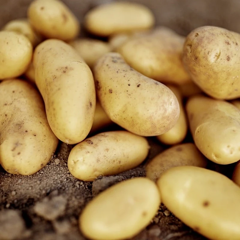 Pommes de terre 