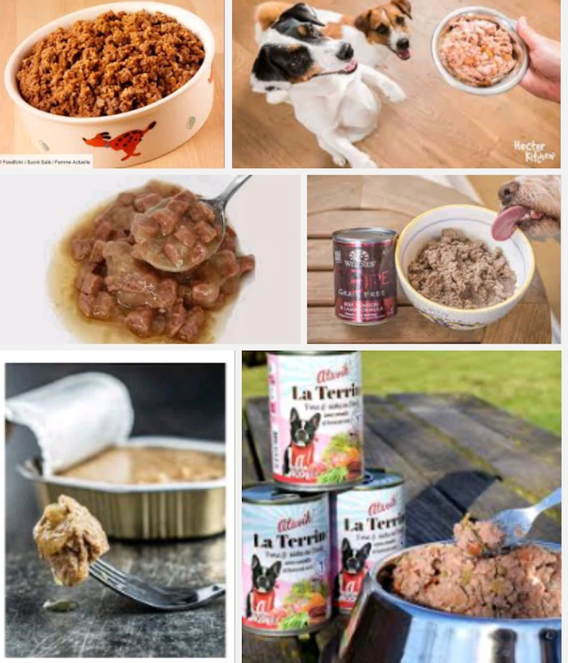 Pâtées pour chien 