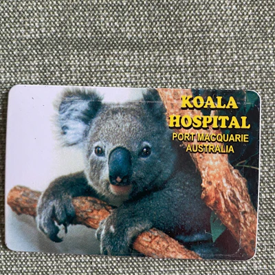 Kühlschrankmagnet Koala Hospital Port Macquarie Australia