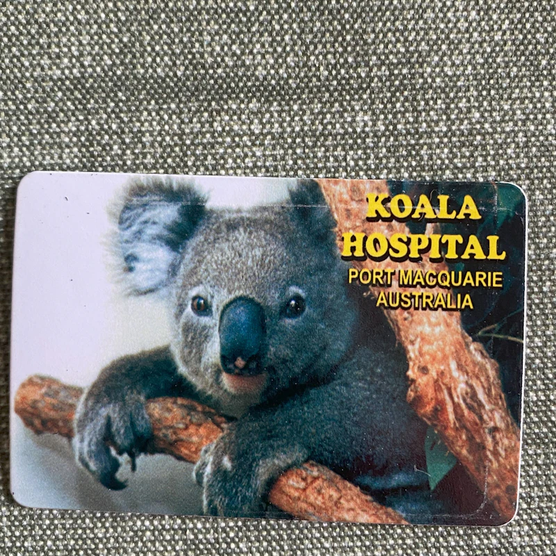 Kühlschrankmagnet Koala Hospital Port Macquarie Australia