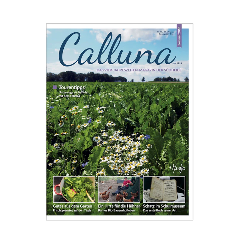 Calluna Sommer 2018