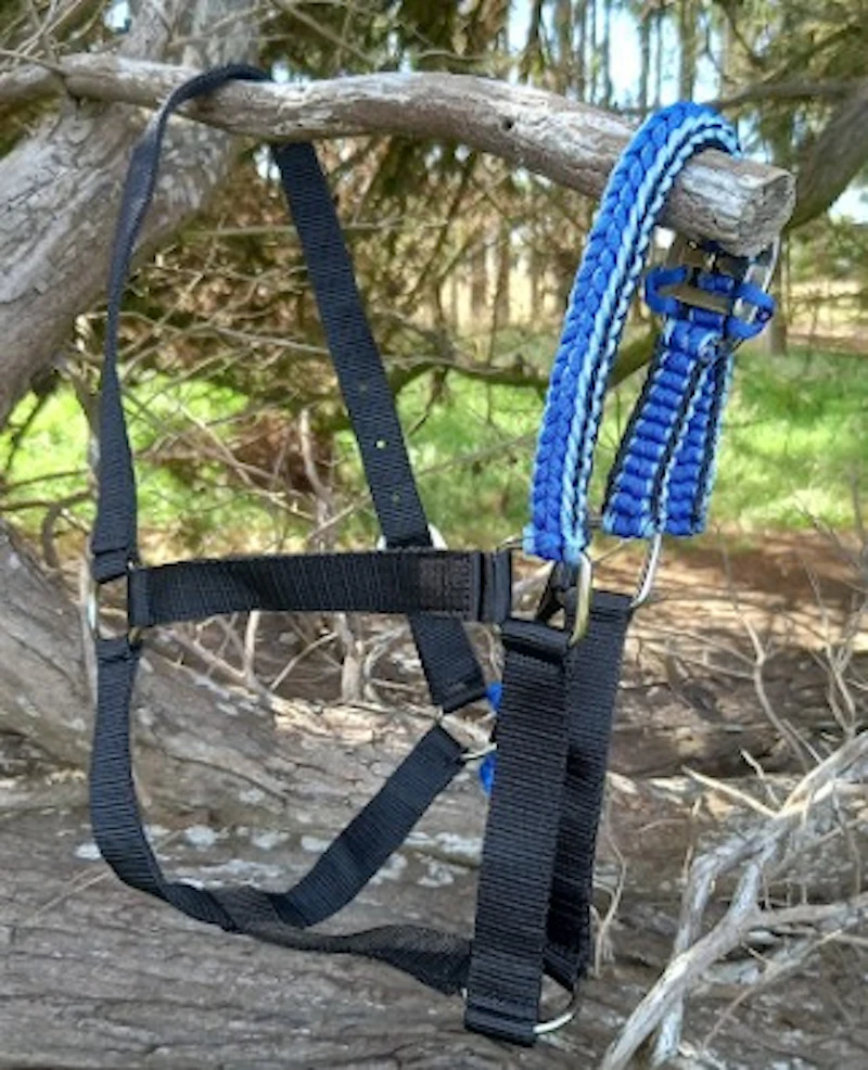Half Halters