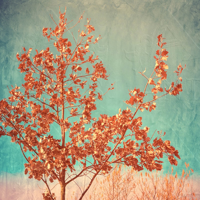 Herbstzeit INDIAN SUMMER Wanddeko Baum Laub Landhausstil Shabby Chic