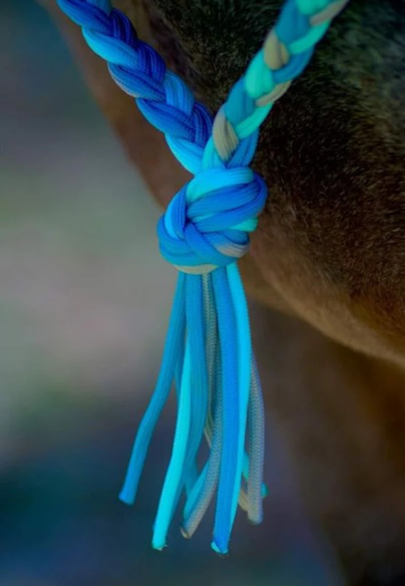 Neckropes