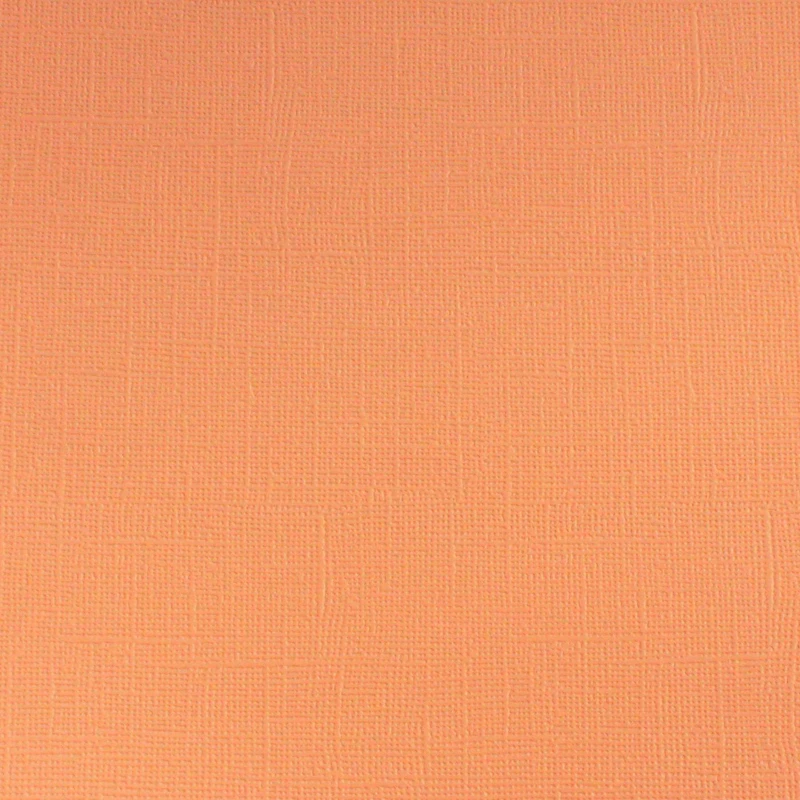 Tim Holtz Ranger Distress Cardstock "Tattered Rose", by Core´dinations